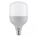Лампа світлодіодна TORCH-30 4200K 30W E27