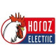Horoz Electric